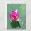 Search for waterlilies invitations Pink