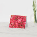Search for azalea cards Floral