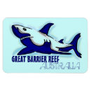 Search for barrier magnets Blue