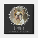 Search for pet photo magnets Rainbow bridge