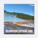 Search for prismatic magnets Yellowstone