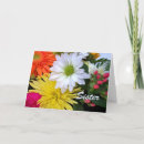Search for chrysanthemum birthday cards Yellow
