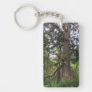 Search for cannon key rings Beach