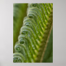 Search for fronds posters Abstract