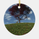 Search for red maple tree Seasons