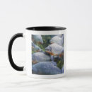 Search for piranha mugs Underwater
