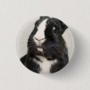 Search for white rabbit badges Bunny