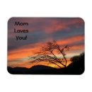Search for magents magnets For kids