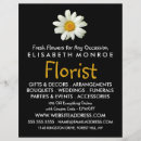 Search for daisy flyers Flowers