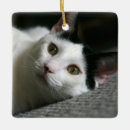 Search for black and white cat christmas tree decorations Green
