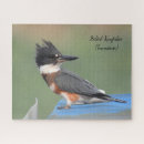 Search for kingfisher puzzles Wildlife