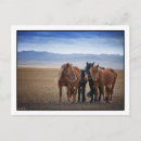 Search for goby postcards Gobi