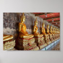 Search for row posters Serene