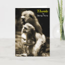 Search for help me cards Friendship