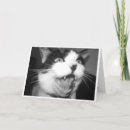 Search for cat singing birthday cards Music