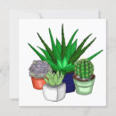 Search for aloe vera plant cards Succulents