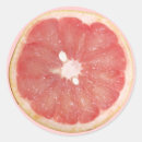 Search for fruit slice stickers Grapefruit