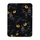 Search for black eye magnets Animal