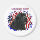 Search for newfoundland magnets Dog