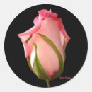 Search for rosebud stickers Floral