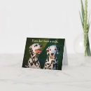 Search for with a smiling cards Dog