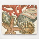 Search for seashells electronics Nautical