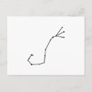 Search for the scorpion postcards Constellation
