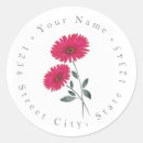 Search for red daisy return address labels Flowers