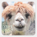 Search for spit stickers Llama
