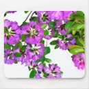 Search for azaleas electronics Pink flowers