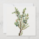 Search for nature christmas invitations Rustic