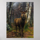 Search for deer buck art Sportsman