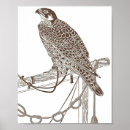 Search for falcon art Vintage