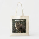 Search for tabby bags Kittens