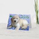 Search for golden doodle puppies cards Labradoodle