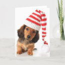 Search for cute puppy christmas cards Costume