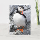 Search for atlantic cards Seabird