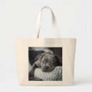 Search for animal welfare accessories Dog