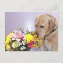 Search for smells postcards Funny