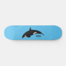 Search for killer whale skateboards Orca