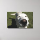 Search for santa canvas prints Dog