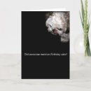 Search for shih tzu birthday cards Animals
