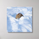 Search for cat canvas prints Wild