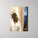 Search for yellow jacket posters Bug