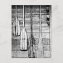 Search for cypress postcards Artistic