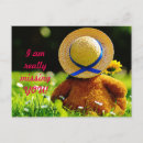 Search for critters postcards Nature
