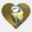 Search for little bird stickers Nature