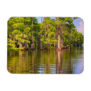 Search for bayou magnets Louisiana