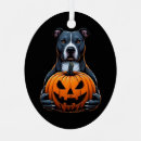 Search for costume christmas tree decorations Pumpkin