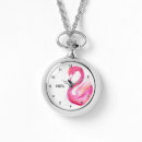 Search for flamingo watches Wildlife